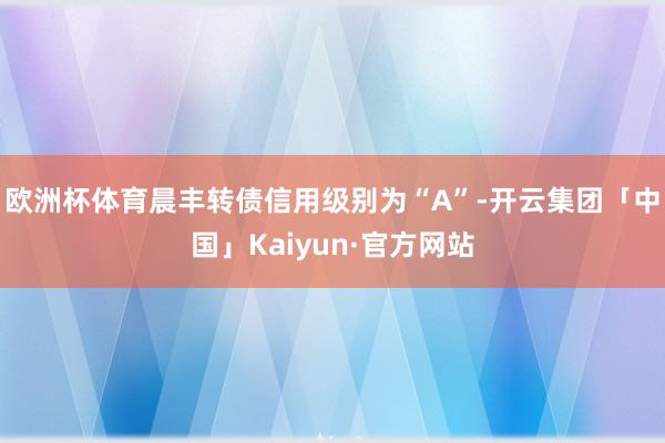 欧洲杯体育晨丰转债信用级别为“A”-开云集团「中国」Kaiyun·官方网站