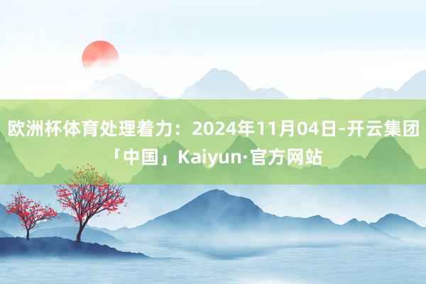 欧洲杯体育处理着力：2024年11月04日-开云集团「中国」Kaiyun·官方网站