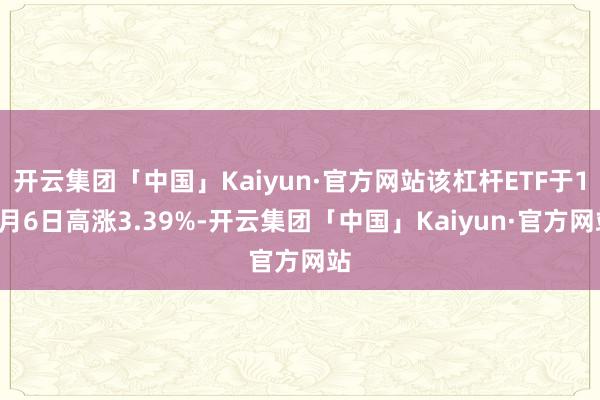 开云集团「中国」Kaiyun·官方网站该杠杆ETF于12月6日高涨3.39%-开云集团「中国」Kaiyun·官方网站