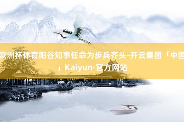 欧洲杯体育阳谷知事任命为步兵齐头-开云集团「中国」Kaiyun·官方网站