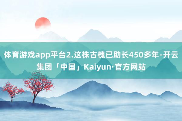 体育游戏app平台2.这株古槐已助长450多年-开云集团「中国」Kaiyun·官方网站