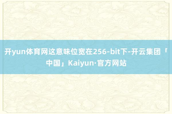 开yun体育网这意味位宽在256-bit下-开云集团「中国」Kaiyun·官方网站