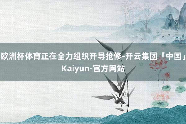 欧洲杯体育正在全力组织开导抢修-开云集团「中国」Kaiyun·官方网站