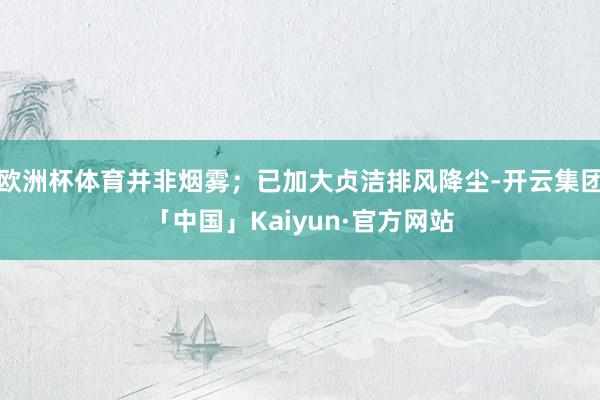 欧洲杯体育并非烟雾；已加大贞洁排风降尘-开云集团「中国」Kaiyun·官方网站