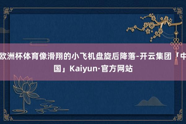 欧洲杯体育像滑翔的小飞机盘旋后降落-开云集团「中国」Kaiyun·官方网站